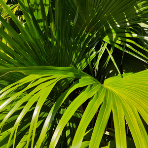 亚洲熟妇色XXXX欧美老妇多毛
